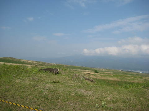 f0061334_2227547.jpg