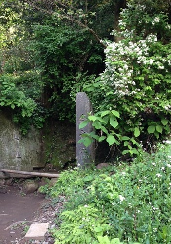 c0141335_1748873.jpg