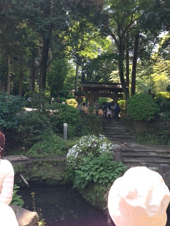c0141335_1758444.jpg