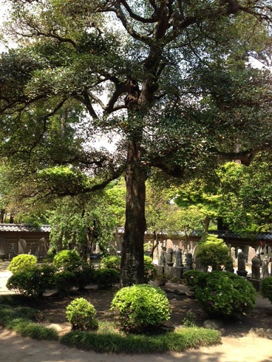c0141335_18152736.jpg