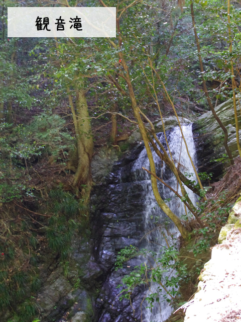 f0008935_1273669.jpg