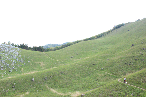 b0191336_2221353.jpg