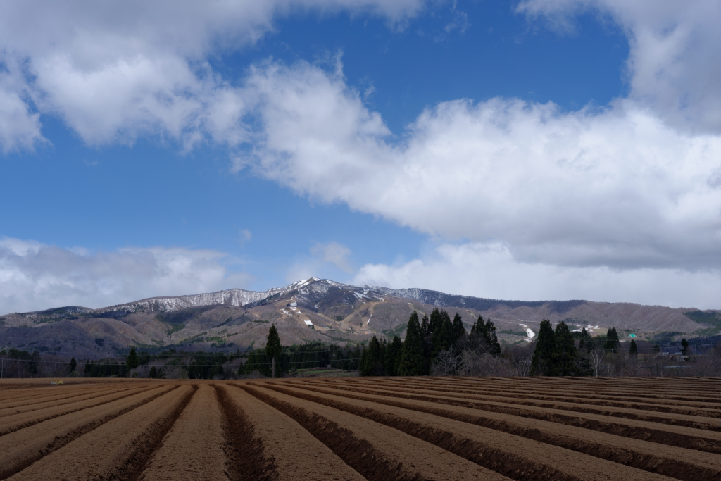f0274536_0111572.jpg