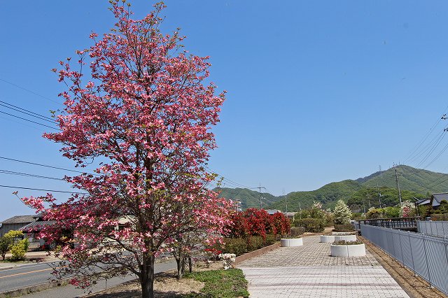a0242438_6303149.jpg