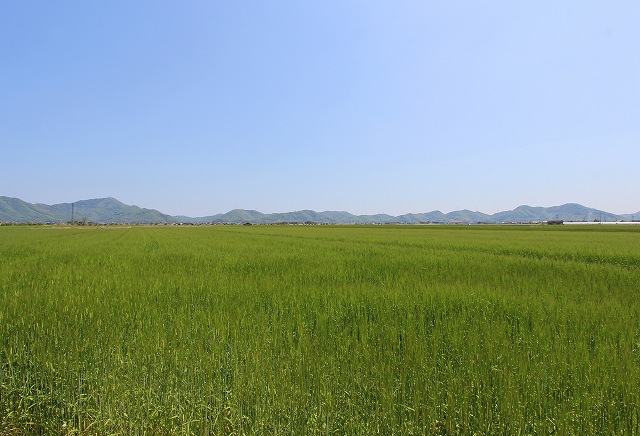 a0242438_6322249.jpg