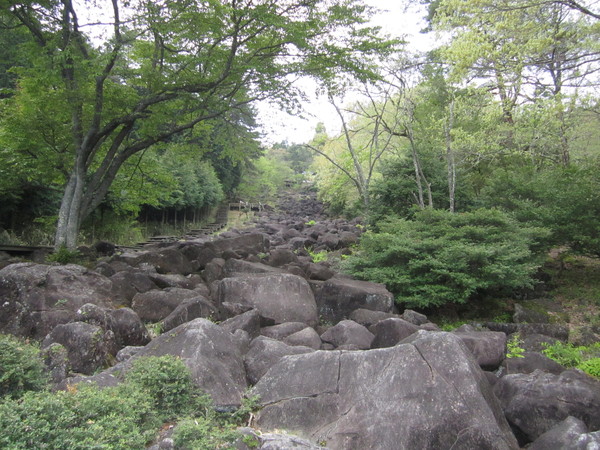 b0132746_21322878.jpg