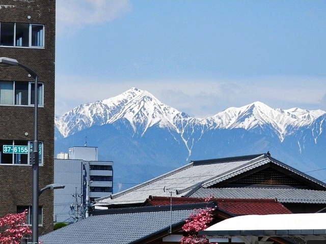 b0122448_86993.jpg