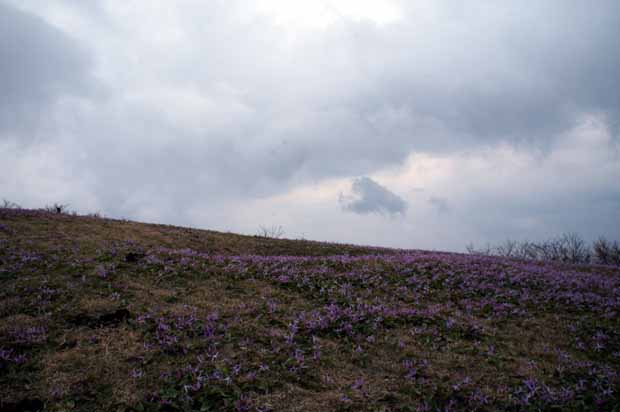 f0214649_1141331.jpg