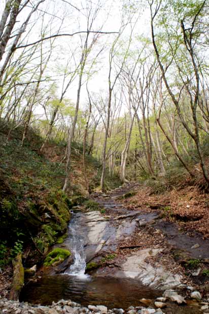 f0214649_418660.jpg