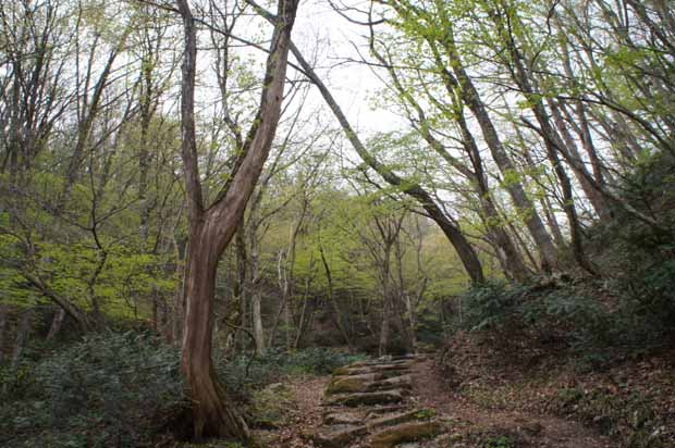 f0214649_44328.jpg