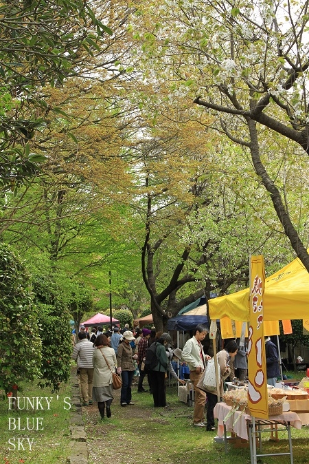 c0145250_120457.jpg