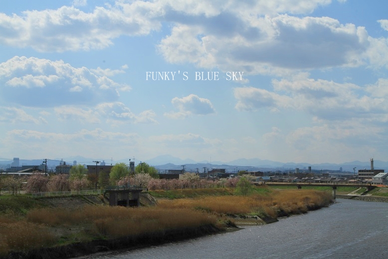 c0145250_167433.jpg