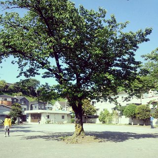 b0223456_921950.jpg