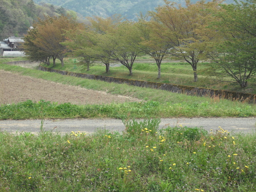 a0290964_2352861.jpg