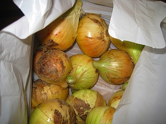 e0002466_7551479.jpg