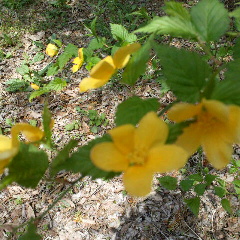 e0221866_21301112.jpg