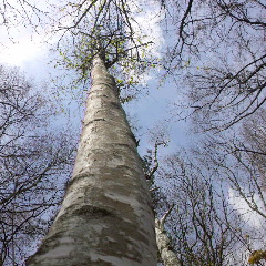 e0221866_21301136.jpg