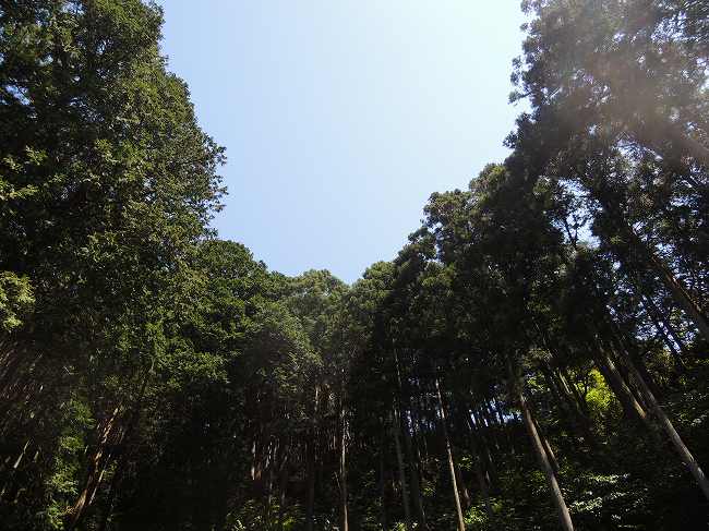 b0007571_21325382.jpg