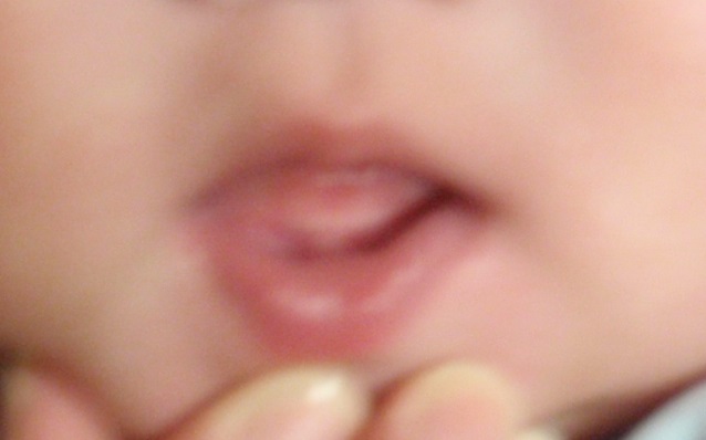 b0281972_2022834.jpg