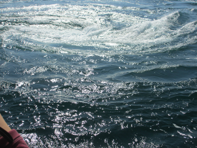 e0106372_1395545.jpg