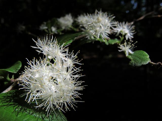 a0044076_18292337.jpg