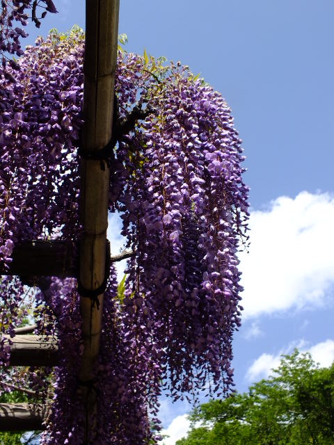 e0145782_17195844.jpg