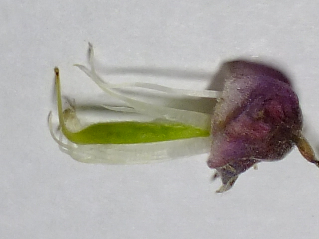 e0145782_17225147.jpg