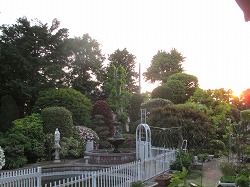 a0142083_1165858.jpg