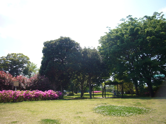 a0141884_10592614.jpg