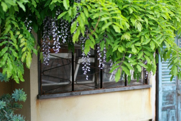 f0238184_0575368.jpg