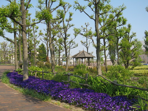 a0251786_2257524.jpg