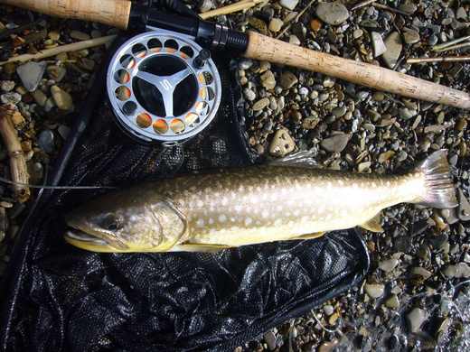 a0118989_21541227.jpg