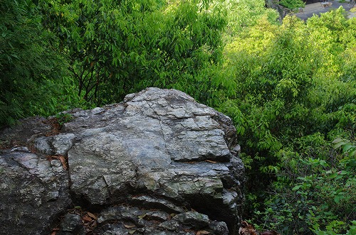 b0119493_2015933.jpg