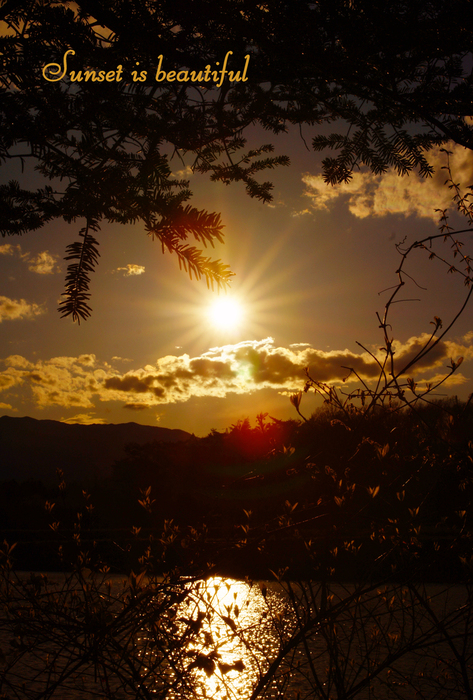 f0240595_2319860.jpg