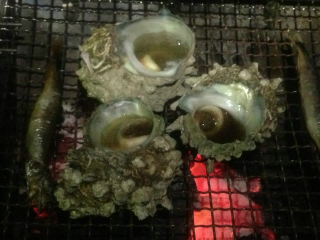 b0013897_21394853.jpg