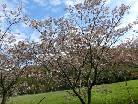 a0203003_2164850.jpg