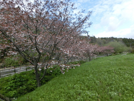 a0203003_2171919.jpg