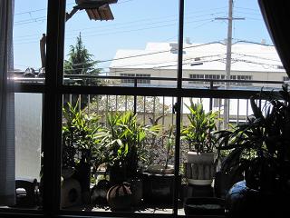e0119003_114447100.jpg