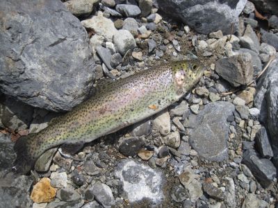 e0183804_7575981.jpg