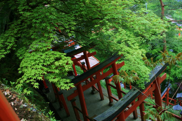 f0031304_7342694.jpg