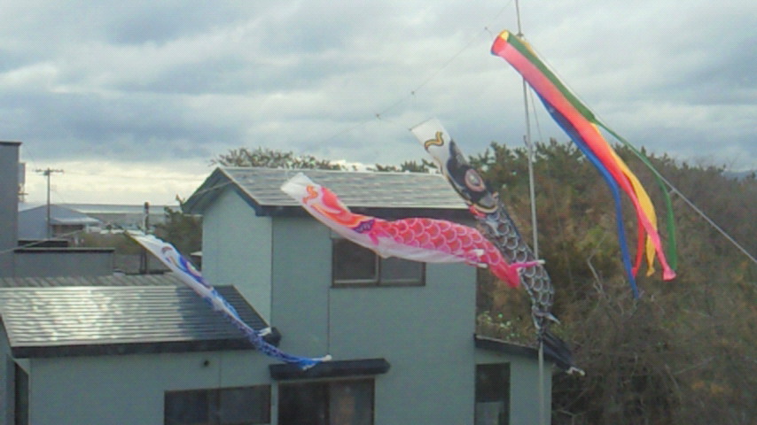 d0149105_7514374.jpg