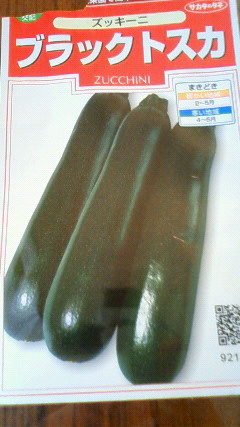 e0046305_9212289.jpg