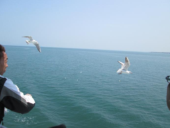 f0061705_2175973.jpg