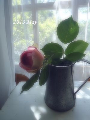 a0051108_1313353.jpg