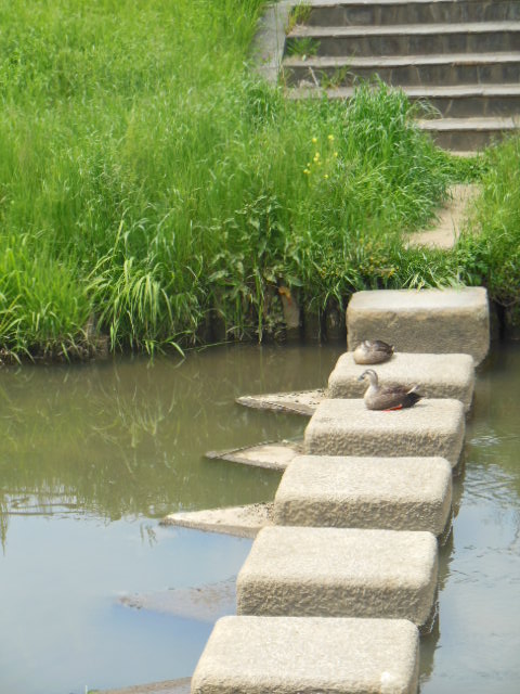 f0208812_8441232.jpg