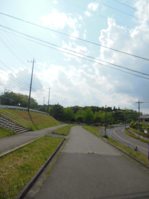 f0208812_8554349.jpg