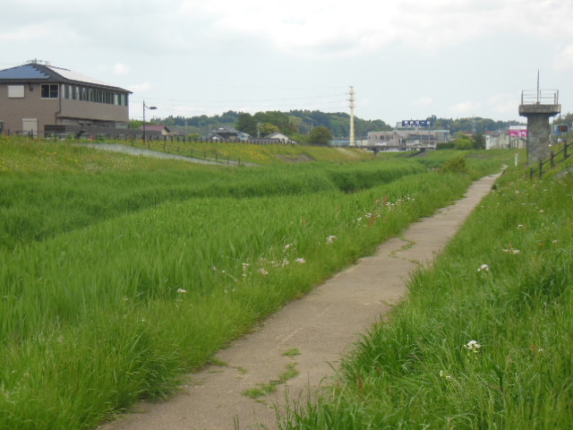 f0208812_91794.jpg