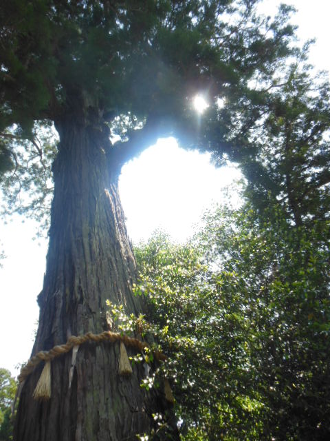 f0208812_9205550.jpg