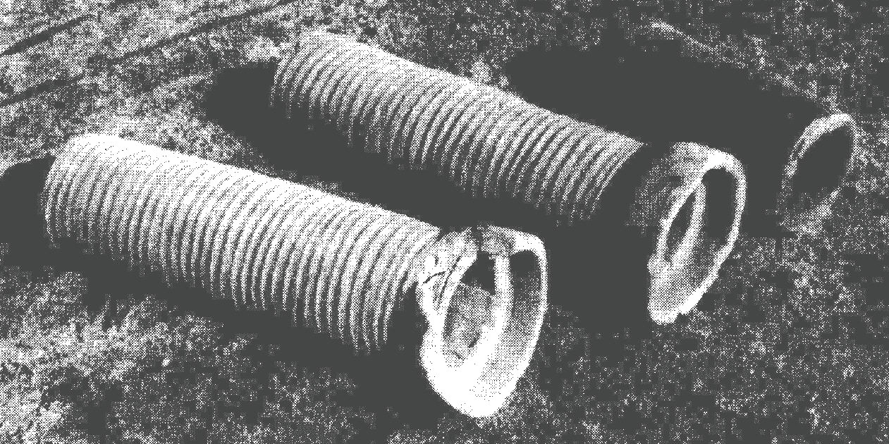 e0125014_1162634.jpg