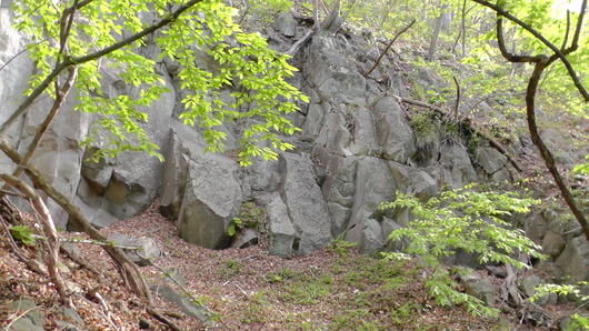 a0127015_6271489.jpg
